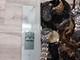 13 Pounds Men And Women Mixed Watch Lot for Parts Or Repairs Different Brands