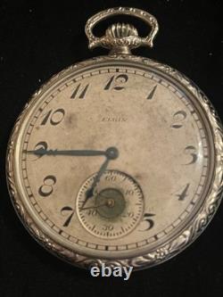 Antique 1800's Elgin National Watch Co. Pocket Watch gorgeous case Parts/Repair