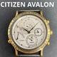 CITIZEN Avalon 6700 G70013 Super Calendar Watch Face Only Not Working For parts