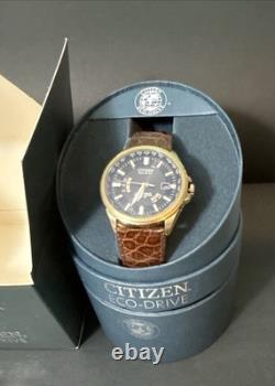 Citizen Eco-Drive Lt. Ed. Radio Controlled World Perpetual Watch for PART/REPAIR