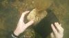 Found Human Remains Underwater In River Police Called Dallmyd