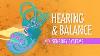 Hearing Balance Crash Course A P 17