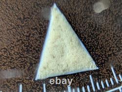 Vintage Arnex Divers Chronograph withTropical Brown Dial, Runs FOR PARTS/REPAIR